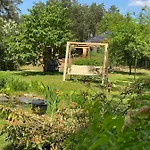 Im Wald Borkwalde