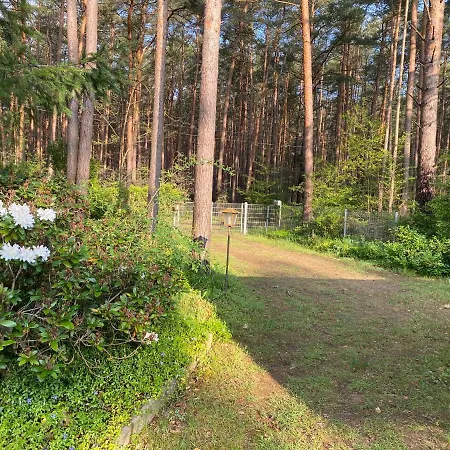 Ferienhaus Im Wald *