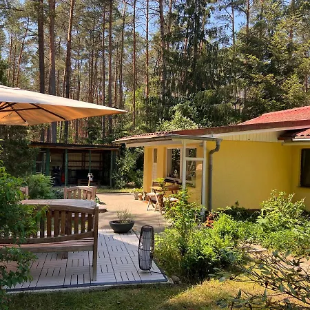 Im Wald بيت للعطل *