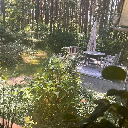 Im Wald بيت للعطل