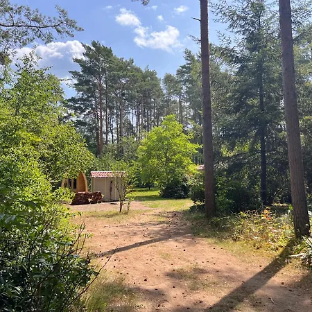 بيت للعطل Im Wald Borkwalde