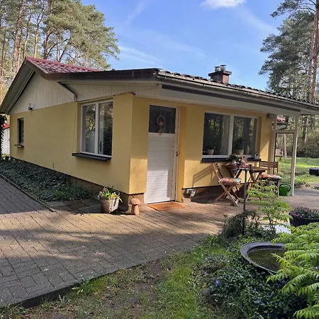 Ferienhaus Im Wald Borkwalde