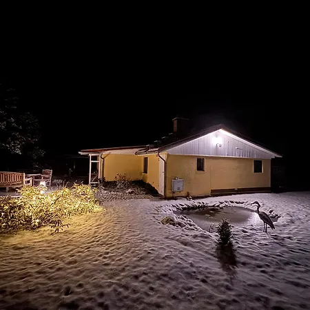 Im Wald Ferienhaus Borkwalde