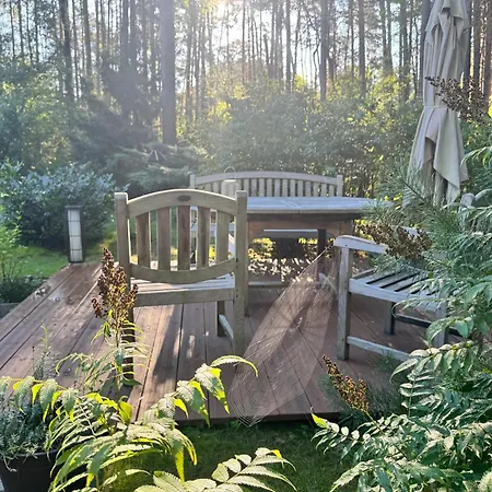 Im Wald Ferienhaus Borkwalde