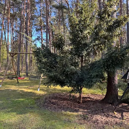 Im Wald *