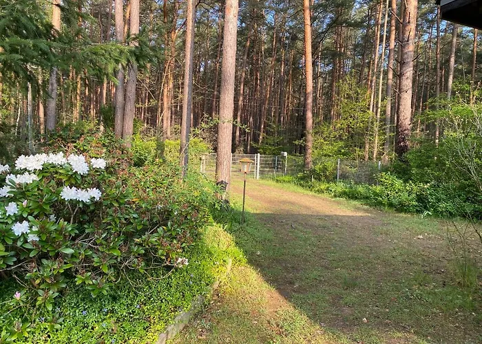 Casa de Férias Im Wald *