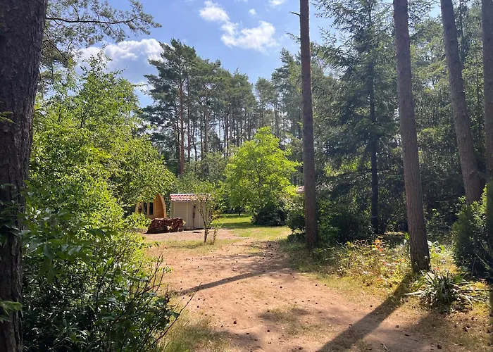 Σπίτι διακοπών Im Wald Borkwalde