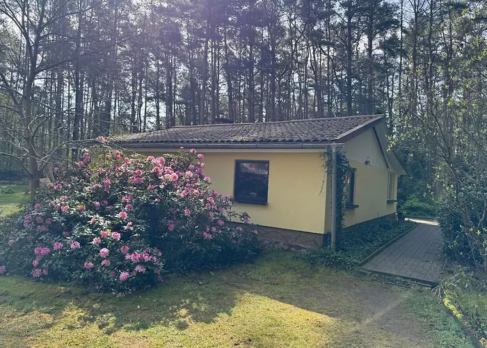 Im Wald Casa de Férias