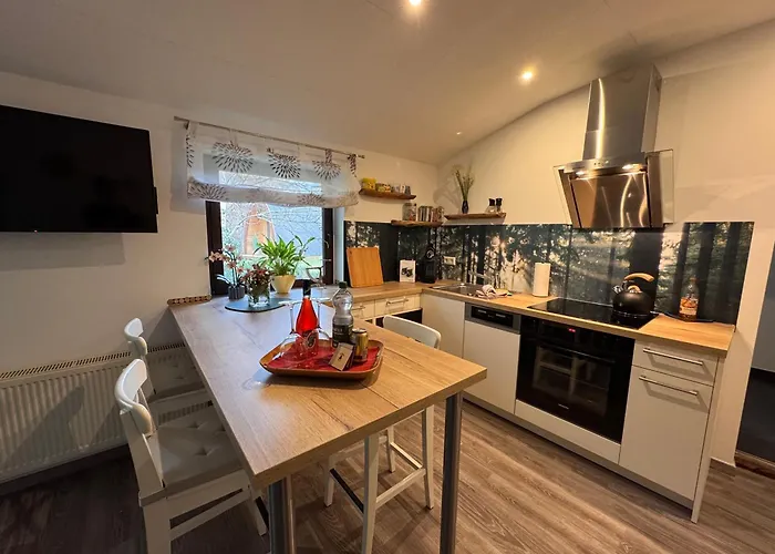 Im Wald Σπίτι διακοπών Borkwalde